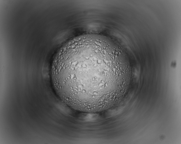 X0000103500663200809121740