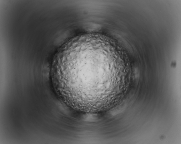 X0000103500664200809121740