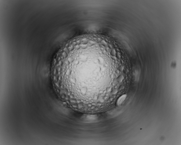 X0000103500665200809121740