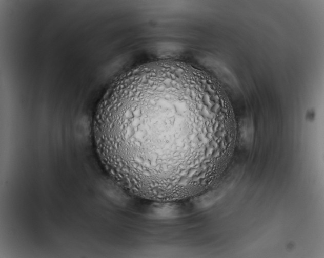 X0000103500667200809121740