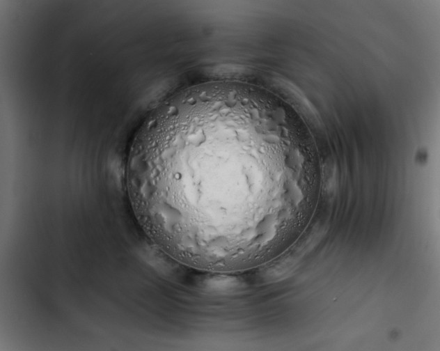 X0000103500669200809121740