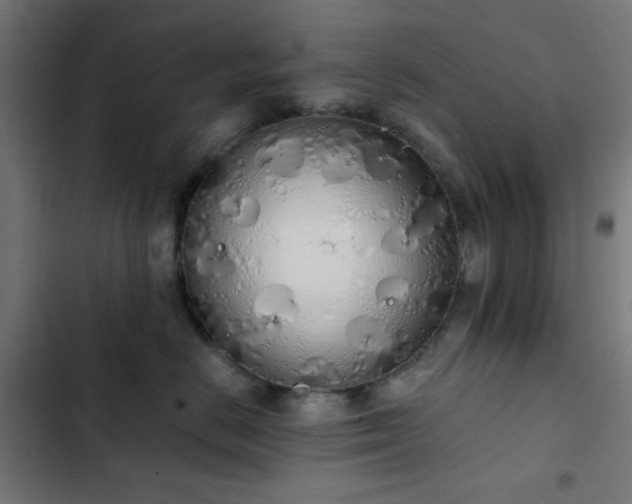 X0000103500670200809121740