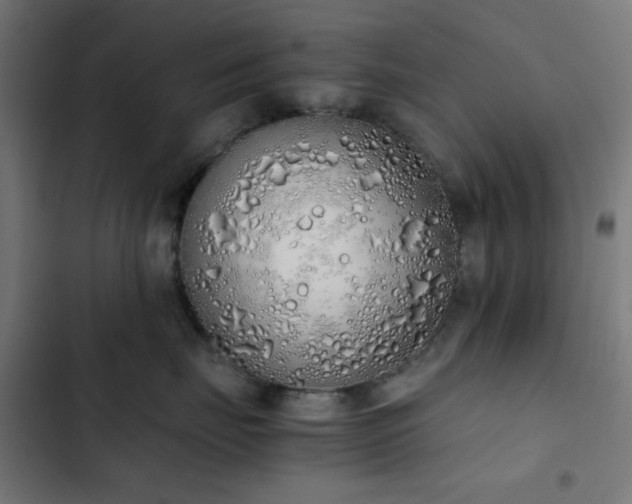 X0000103500671200809121740