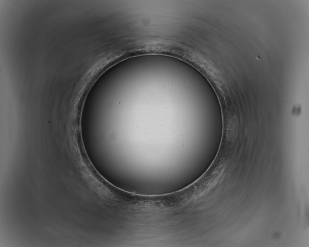 X0000103500673200809121739