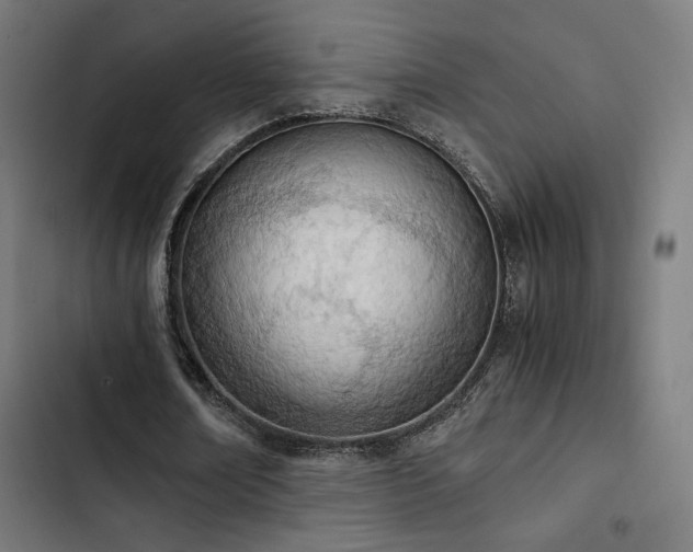 X0000103500674200809121739