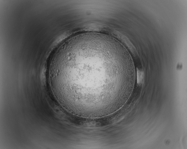 X0000103500675200809121739