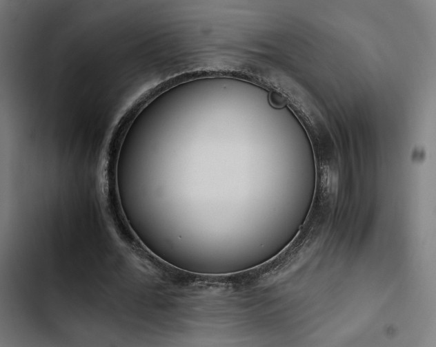 X0000103500676200809121739