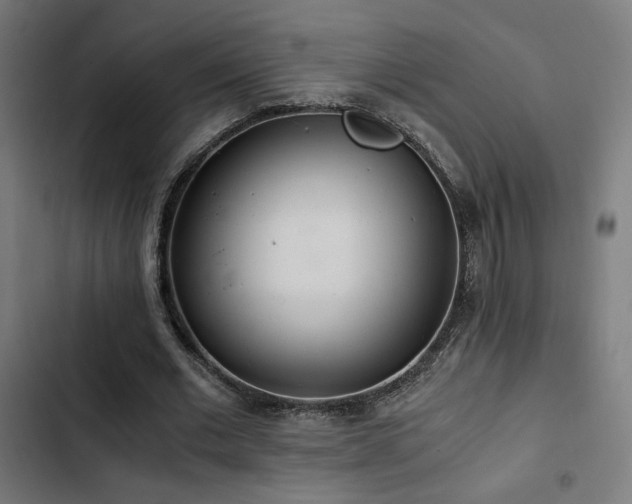 X0000103500677200809121739