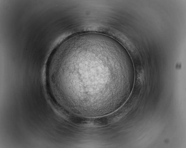 X0000103500678200809121739