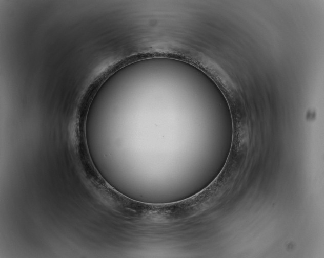 X0000103500680200809121739