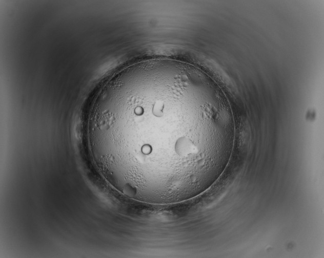 X0000103500683200809121739