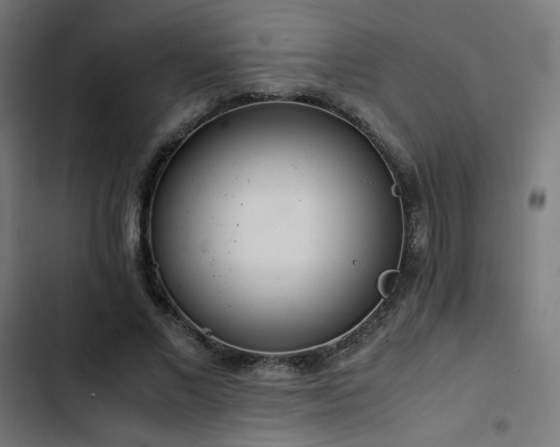 X0000103500685200809121739