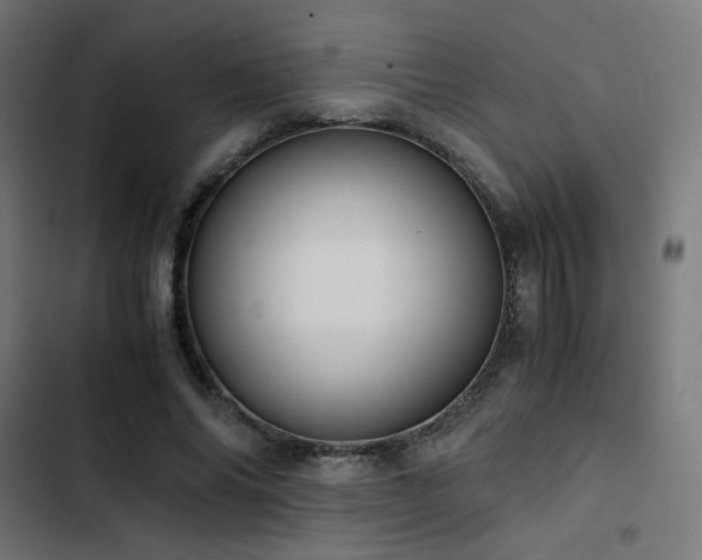 X0000103500686200809121739