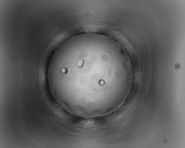 X0000103500687200809121739