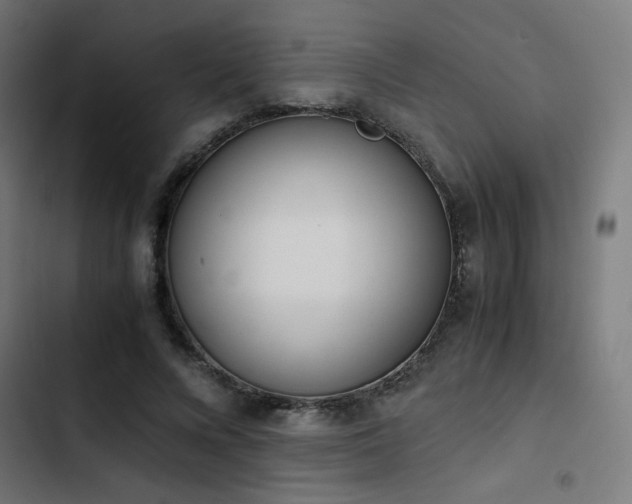 X0000103500688200809121739