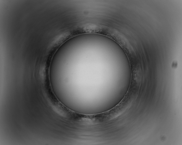 X0000103500690200809121739