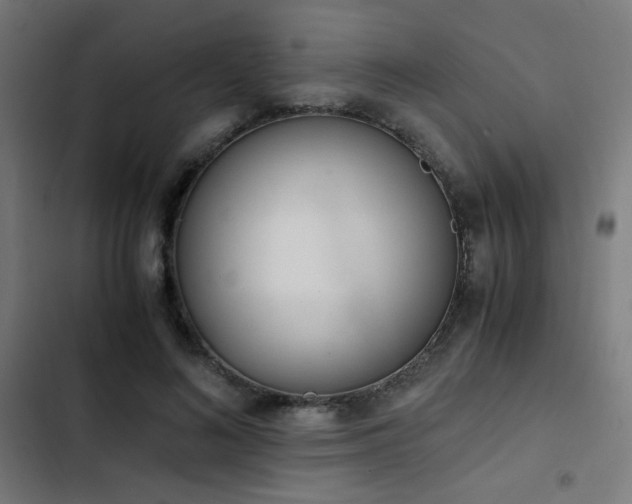 X0000103500692200809121739