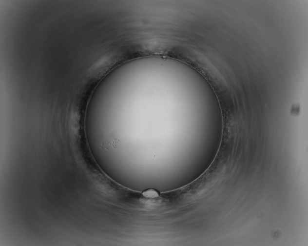 X0000103500693200809121739