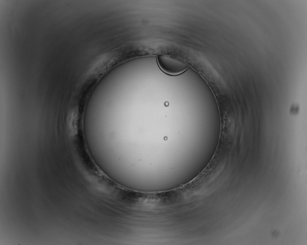 X0000103500694200809121739