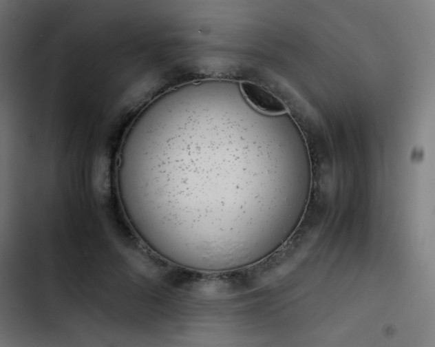 X0000103500696200809121739