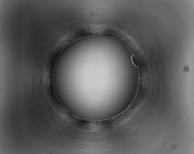 X0000103500697200809121739