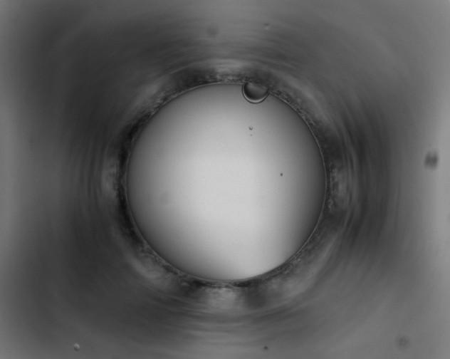 X0000103500698200809121739