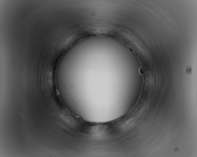 X0000103500700200809121739