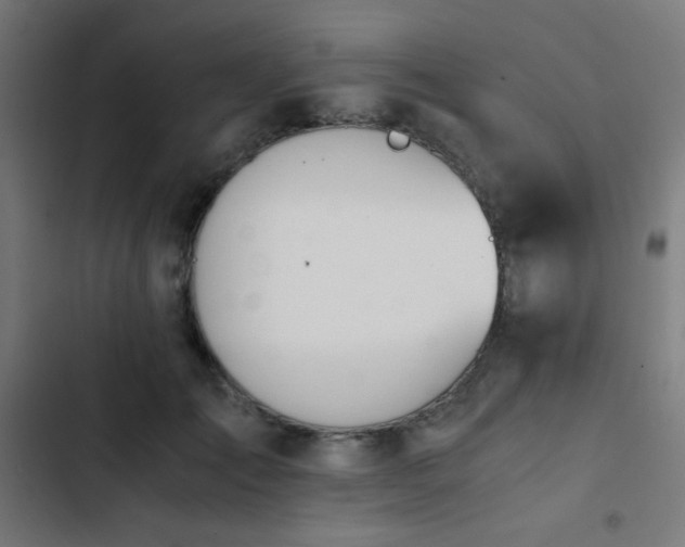 X0000103500701200809121739