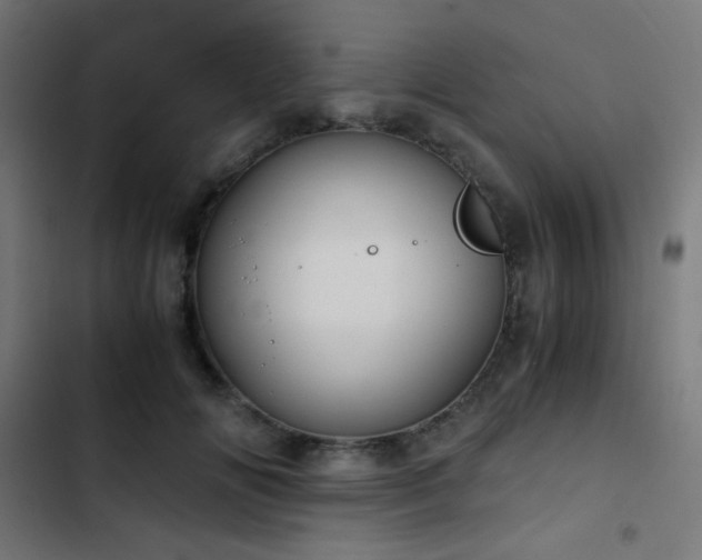 X0000103500702200809121739