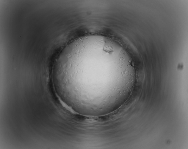 X0000103500703200809121739