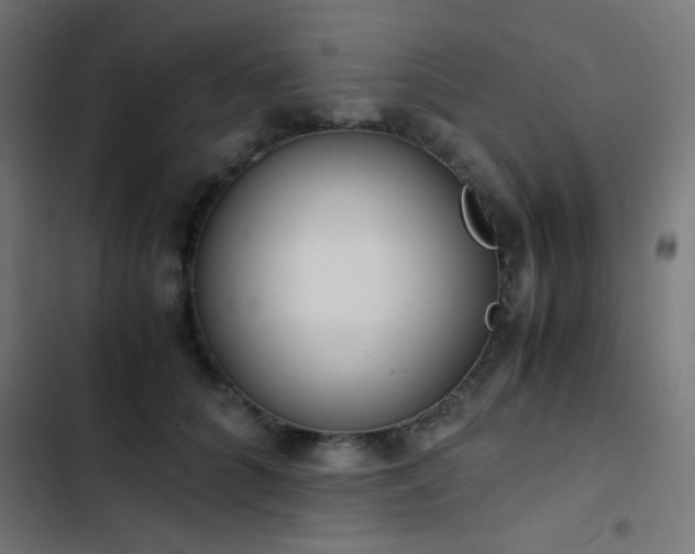 X0000103500704200809121739