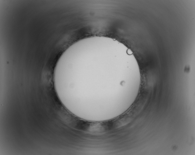 X0000103500705200809121739