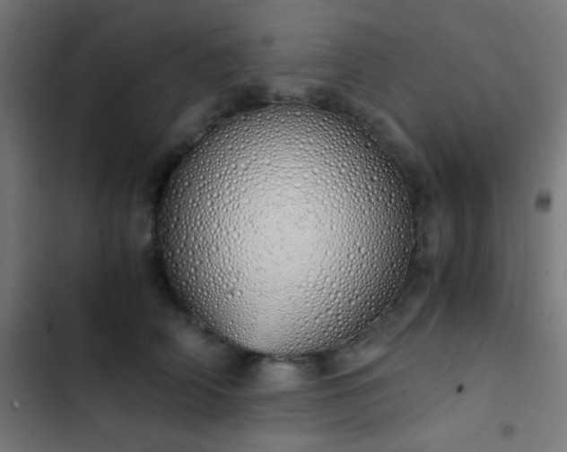 X0000103500706200809121739