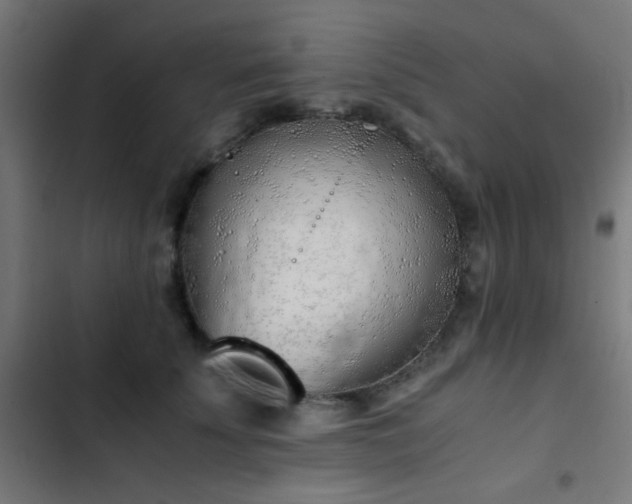 X0000103500707200809121739