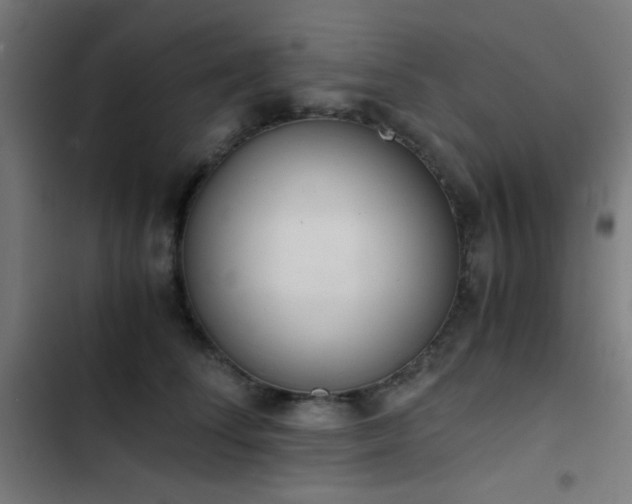 X0000103500708200809121739