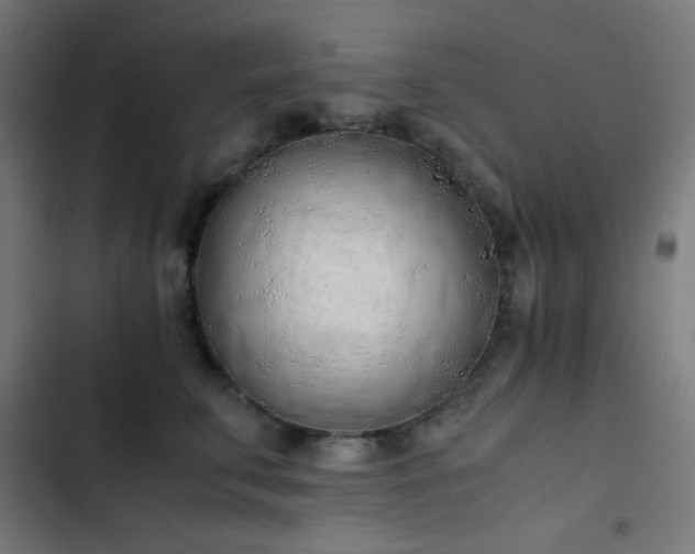 X0000103500711200809121739