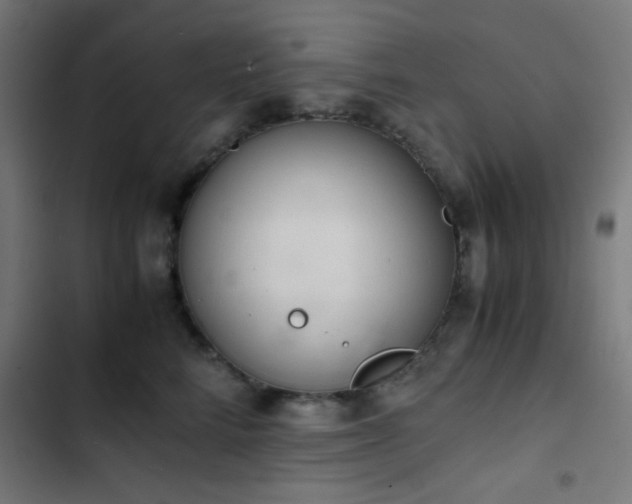 X0000103500712200809121739