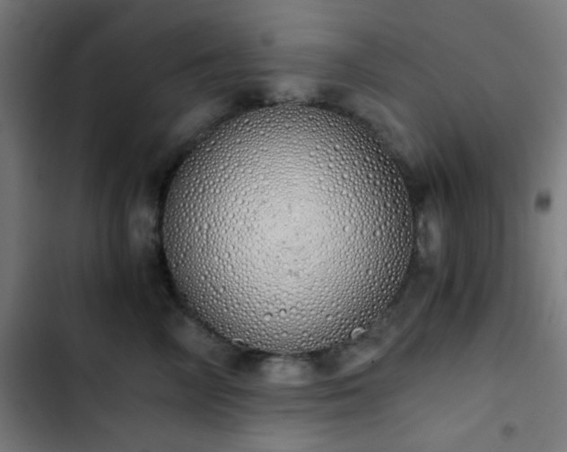 X0000103500714200809121739