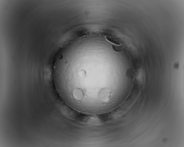 X0000103500715200809121739