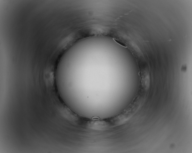 X0000103500716200809121739