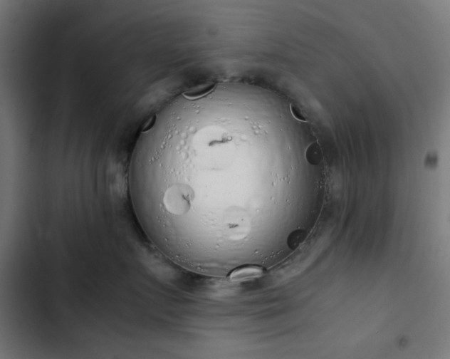 X0000103500719200809121739