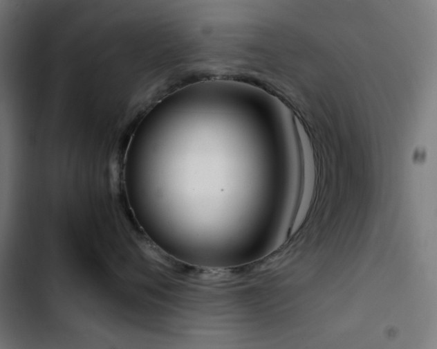 X0000103500720200809121739