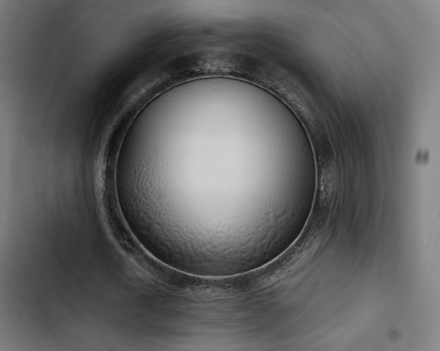 X0000103500722200809121738