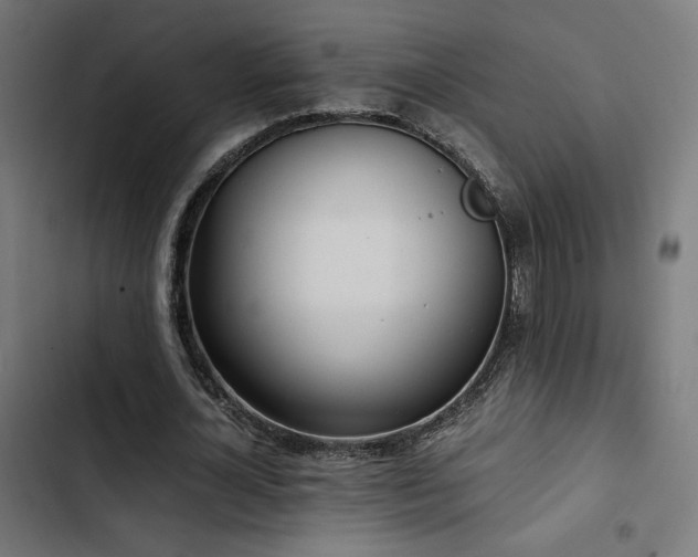 X0000103500724200809121738