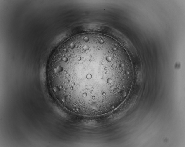 X0000103500729200809121738