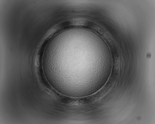 X0000103500731200809121738