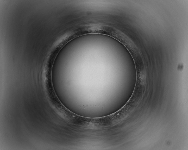 X0000103500732200809121738