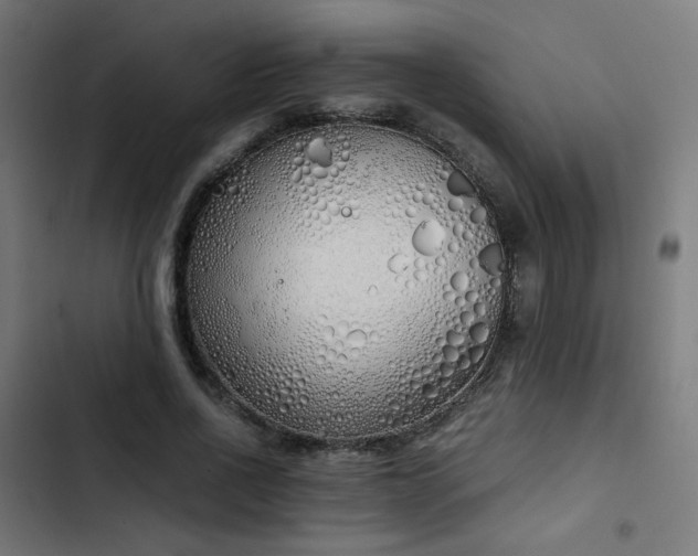 X0000103500734200809121738