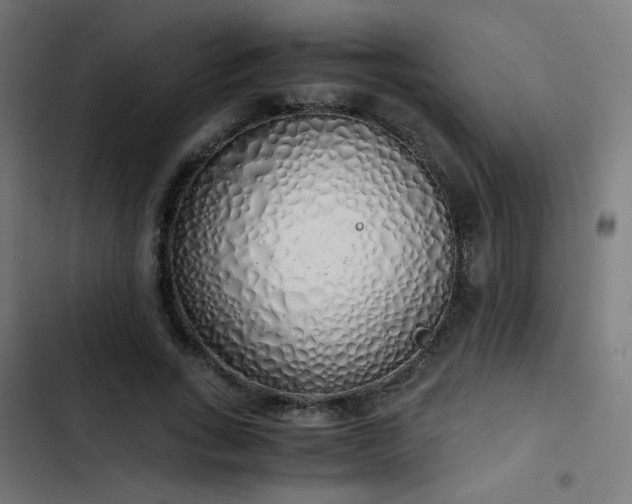 X0000103500735200809121738