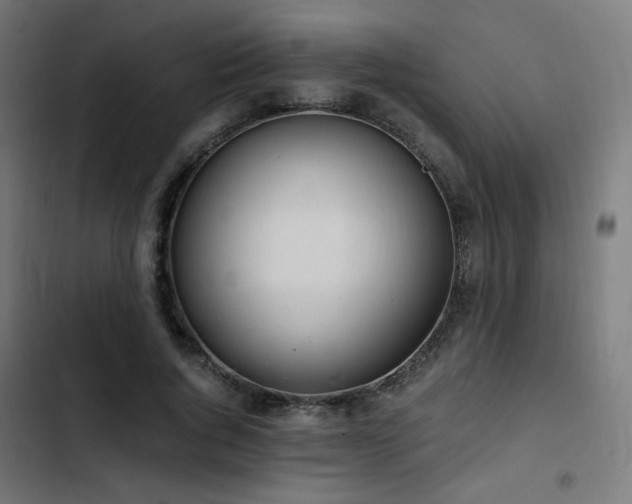 X0000103500736200809121738